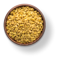 Fenugreek