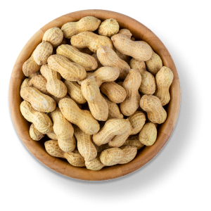 Groundnuts